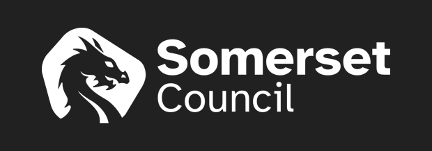 Somerset Council